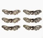 Silver Butterfly Wing Spacer
